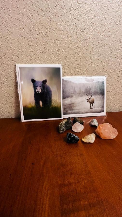Appalachian Mountain Cabin-Updated-Private-Rafting On Ocoee River-Hiking-Waterfalls-Wifi-Pets Ok Murphy Luaran gambar