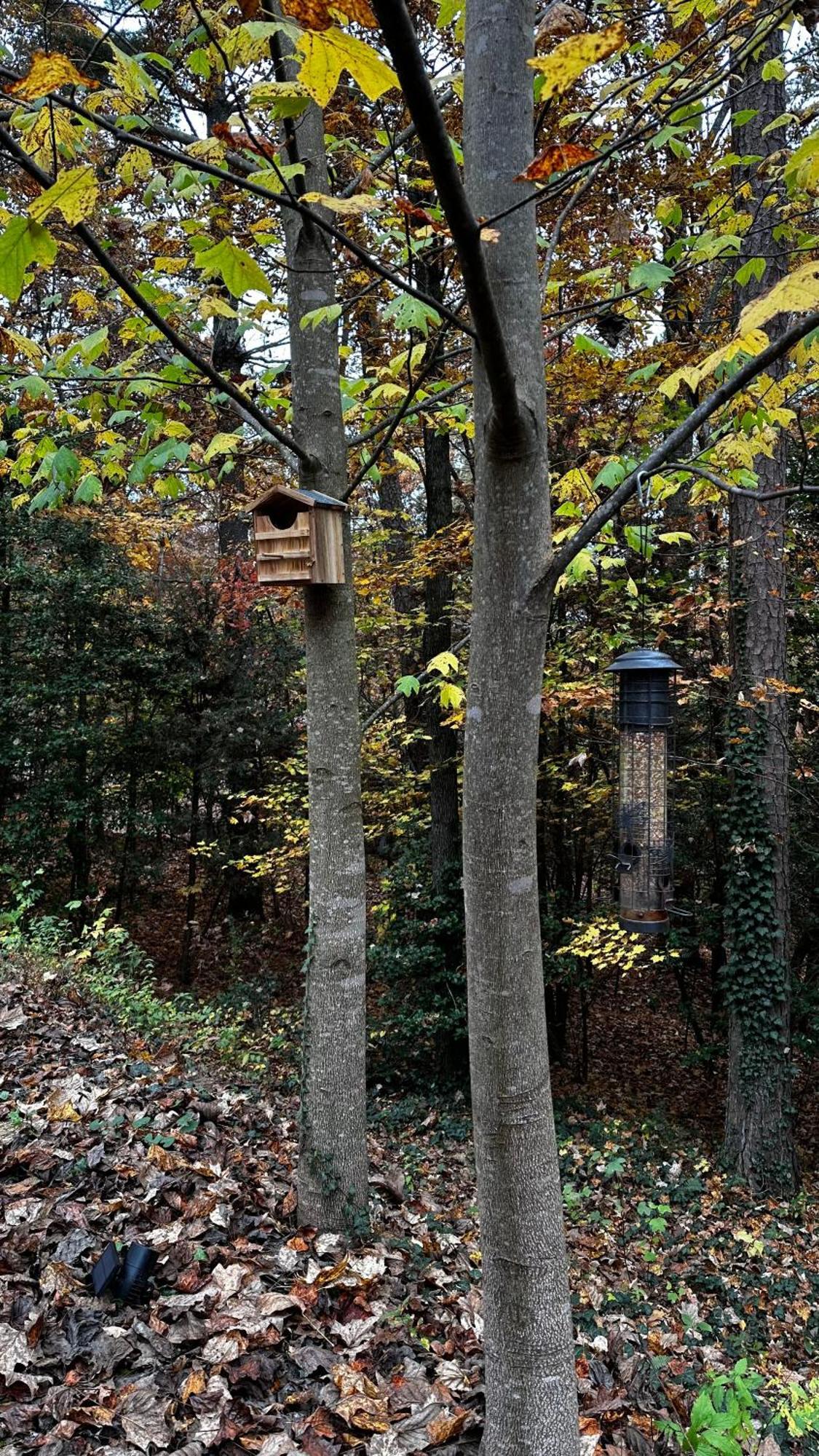 Appalachian Mountain Cabin-Updated-Private-Rafting On Ocoee River-Hiking-Waterfalls-Wifi-Pets Ok Murphy Luaran gambar
