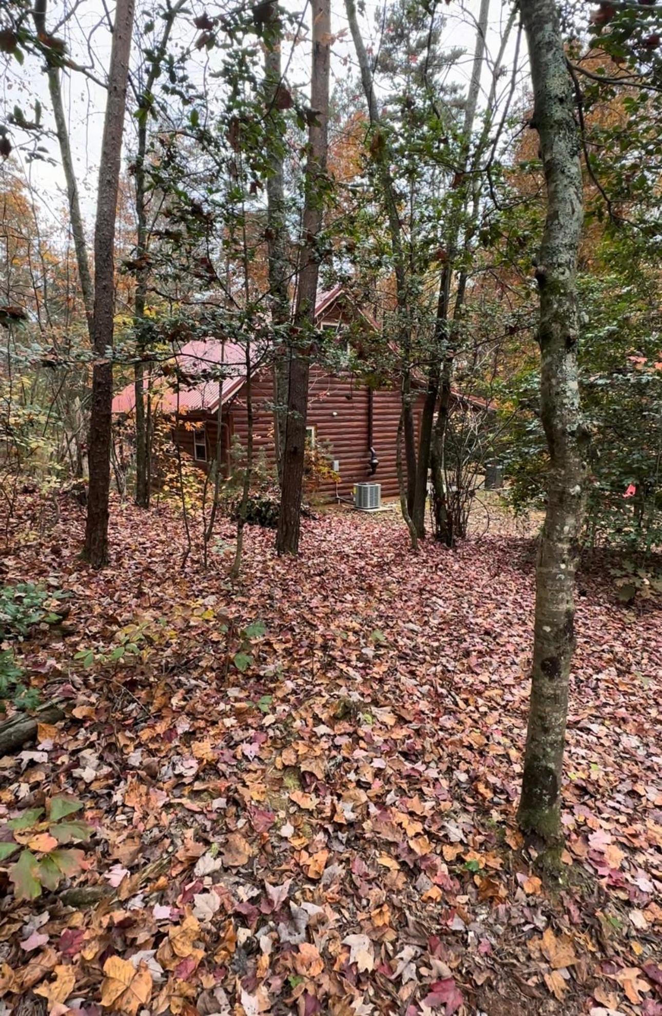 Appalachian Mountain Cabin-Updated-Private-Rafting On Ocoee River-Hiking-Waterfalls-Wifi-Pets Ok Murphy Luaran gambar