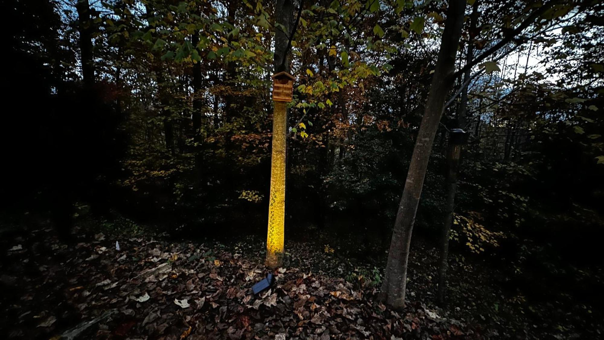 Appalachian Mountain Cabin-Updated-Private-Rafting On Ocoee River-Hiking-Waterfalls-Wifi-Pets Ok Murphy Luaran gambar