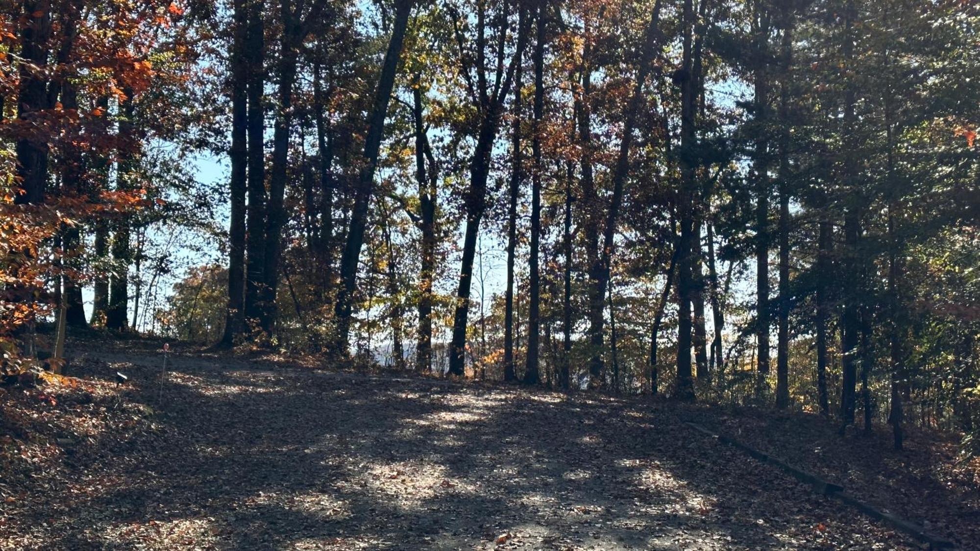Appalachian Mountain Cabin-Updated-Private-Rafting On Ocoee River-Hiking-Waterfalls-Wifi-Pets Ok Murphy Luaran gambar