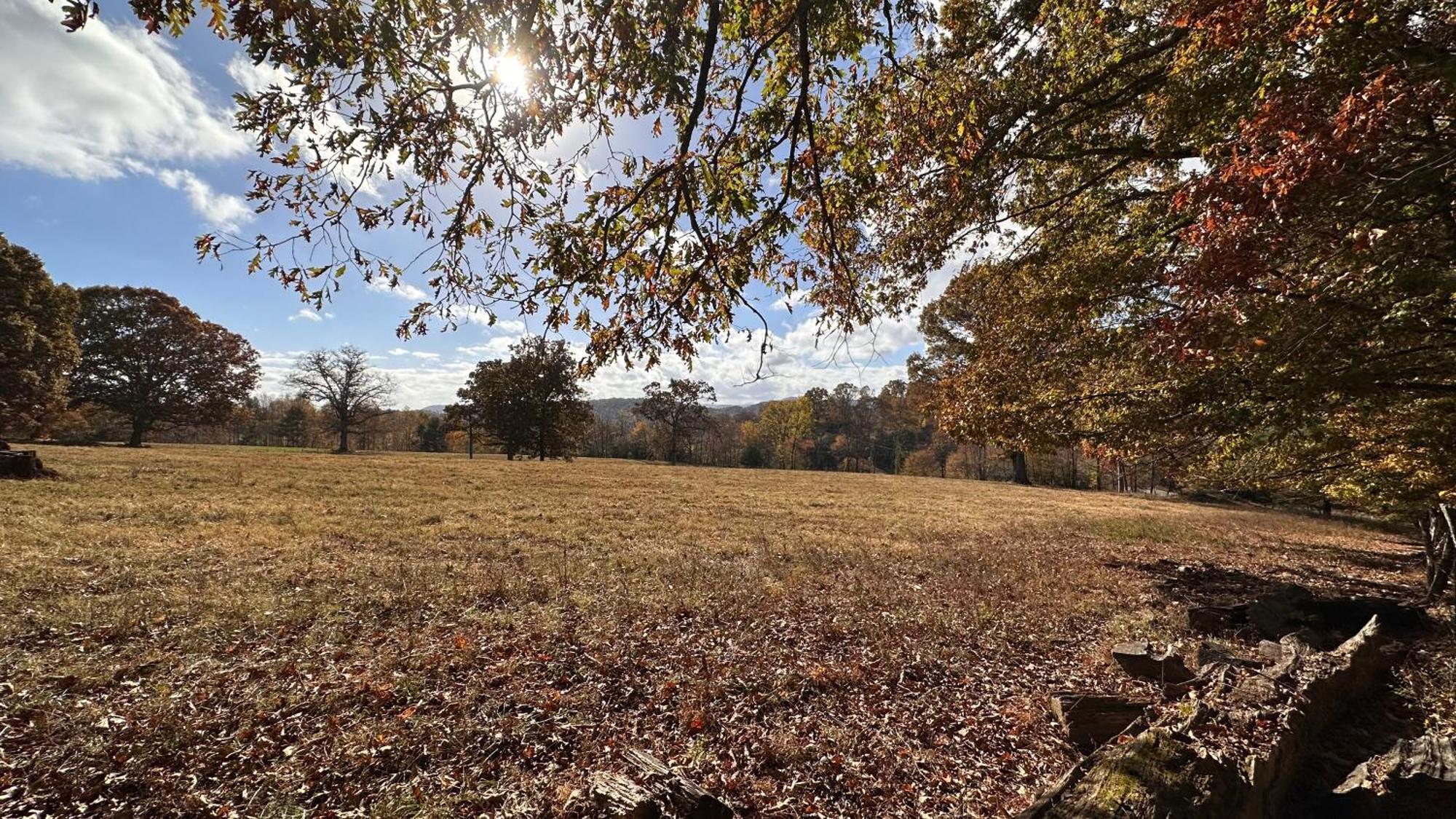 Appalachian Mountain Cabin-Updated-Private-Rafting On Ocoee River-Hiking-Waterfalls-Wifi-Pets Ok Murphy Luaran gambar