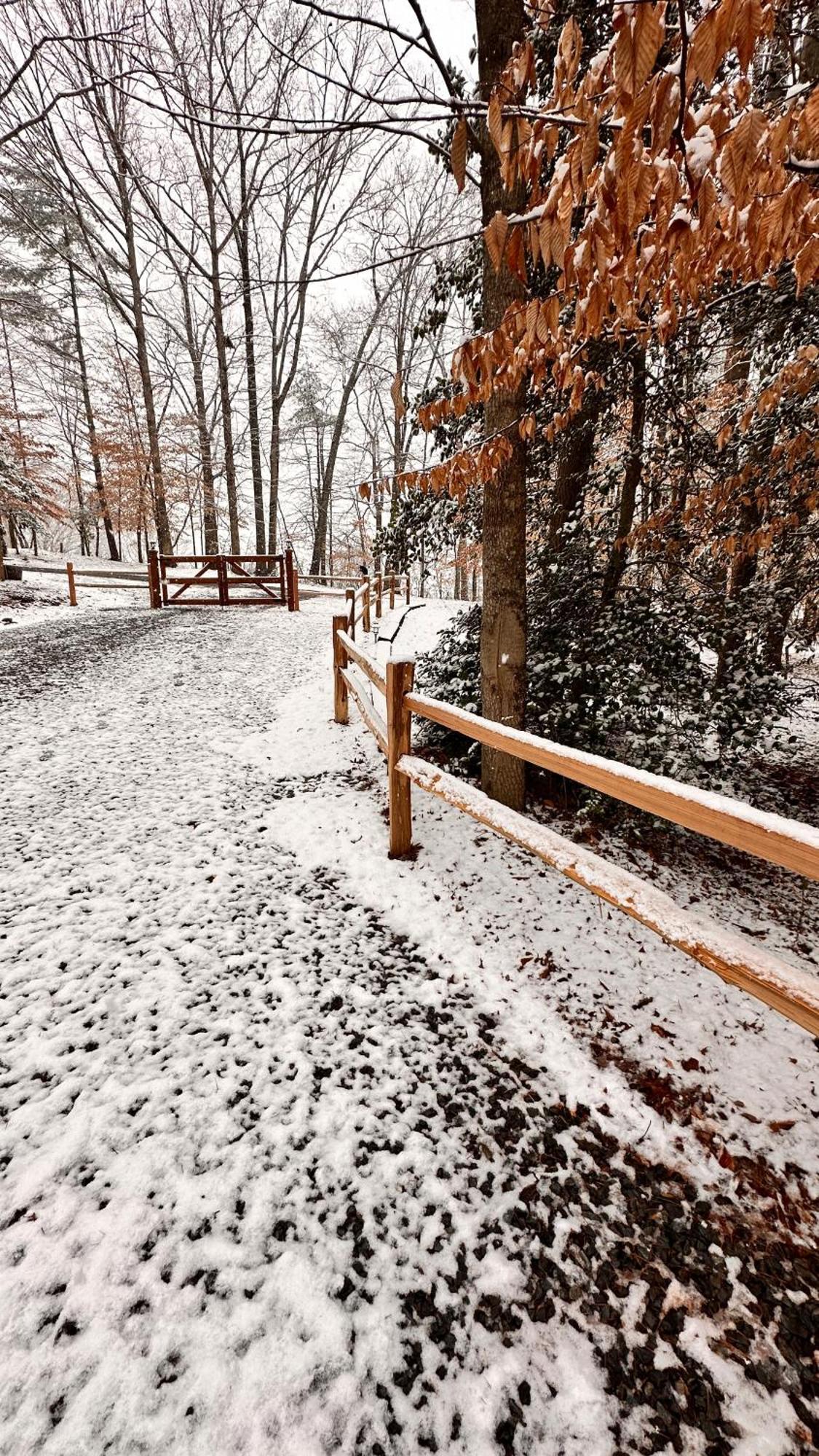 Appalachian Mountain Cabin-Updated-Private-Rafting On Ocoee River-Hiking-Waterfalls-Wifi-Pets Ok Murphy Luaran gambar